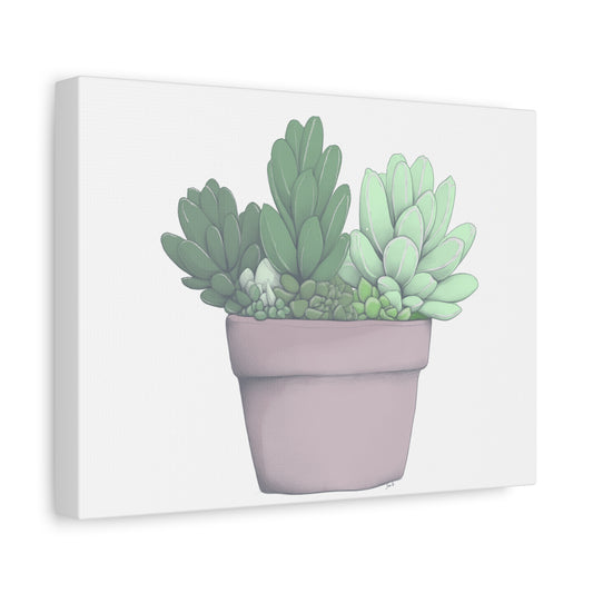 Succulent Pot Matte Canvas Wall Art — Stretched 1.25"