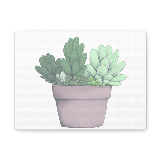 Succulent Pot Matte Canvas Wall Art — Stretched 1.25"