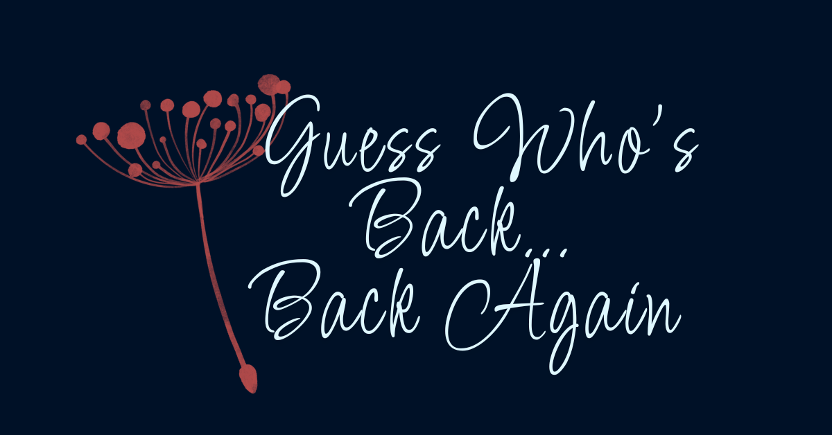 A dark navy background with a minimalist floral illustration in burnt orange on the left. The text "Guess Who’s Back… Back Again" is written in an elegant, light blue script font, centered in the design.